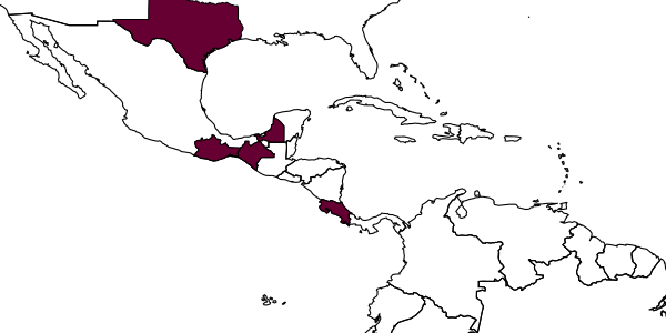 map of Eriastichus cigdemae     LaSalle, 1994